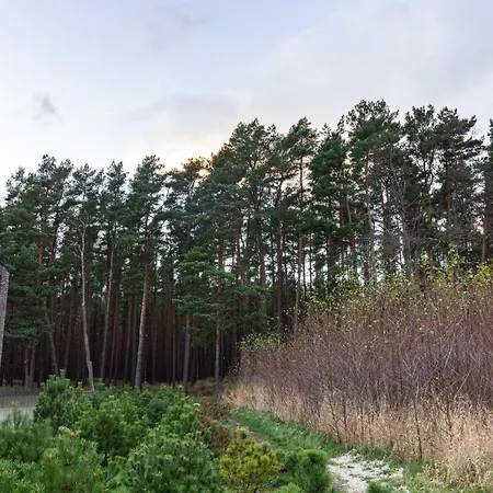 Mind Retreat Apartment, By Cohost Butas *