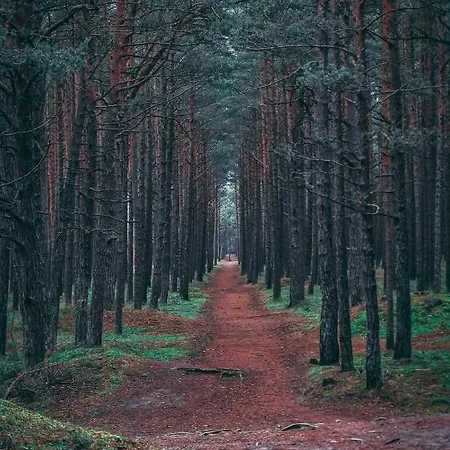 Mind Retreat Apartment, By Cohost Butas *