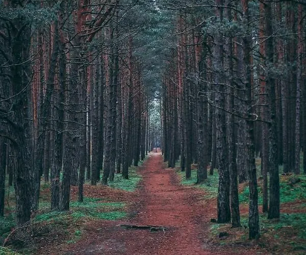 Mind Retreat Apartment, By Cohost Apartman *